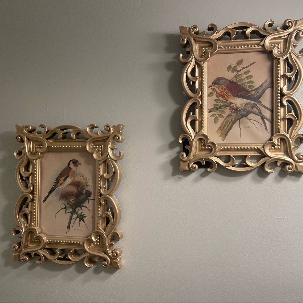 Ornate Gold Picture Frames with Vintage Bird Art
